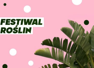 Festiwal Roślin w Gdańsku