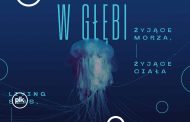 W głębi: Żyjące morza, żyjące ciała  | wystawa