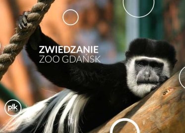 Zwiedzanie ZOO Gdańsk - Bilety