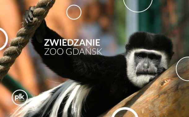 Zwiedzanie ZOO Gdańsk - Bilety